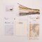 Thea Gouverneur Summer Robin Bird Counted Cross Stitch Kit – 16CT Aida, DMC Threads & Supplies Included, DIY Embroidery for Adults, 7.9×5.9 Inch